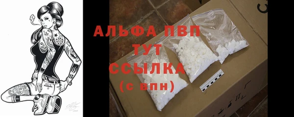 стафф Баксан