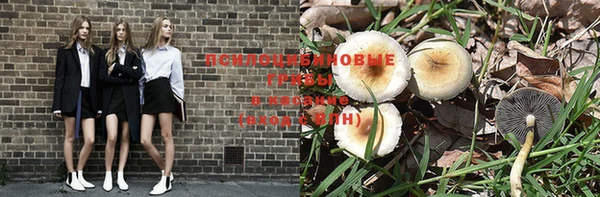 стафф Баксан