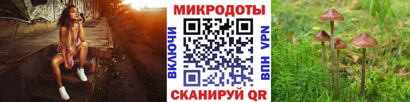 kraken вход  Тында  Галлюциногенные грибы Magic Shrooms 